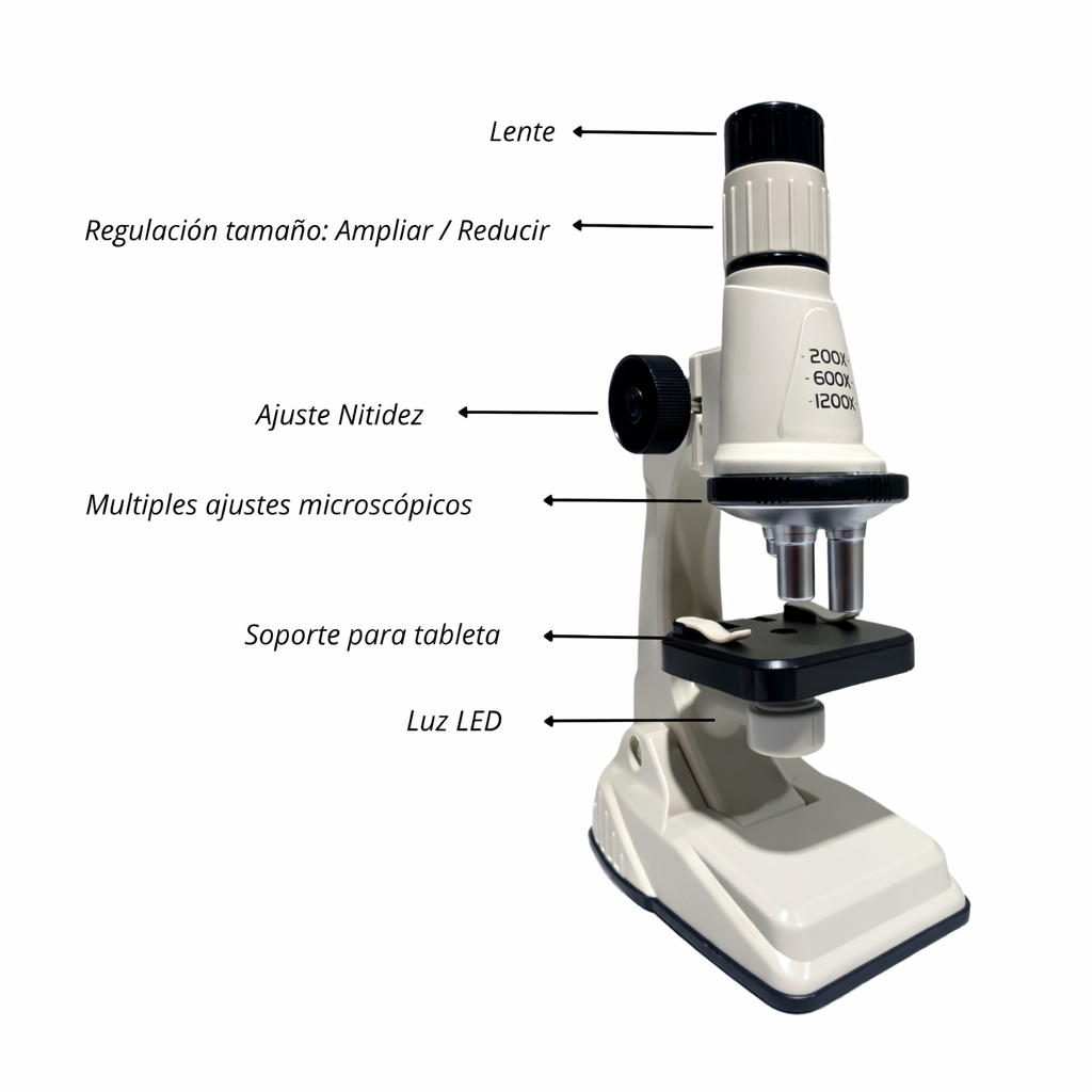 Microscopio Para Niños Escolar Educativo Lupa 200x
